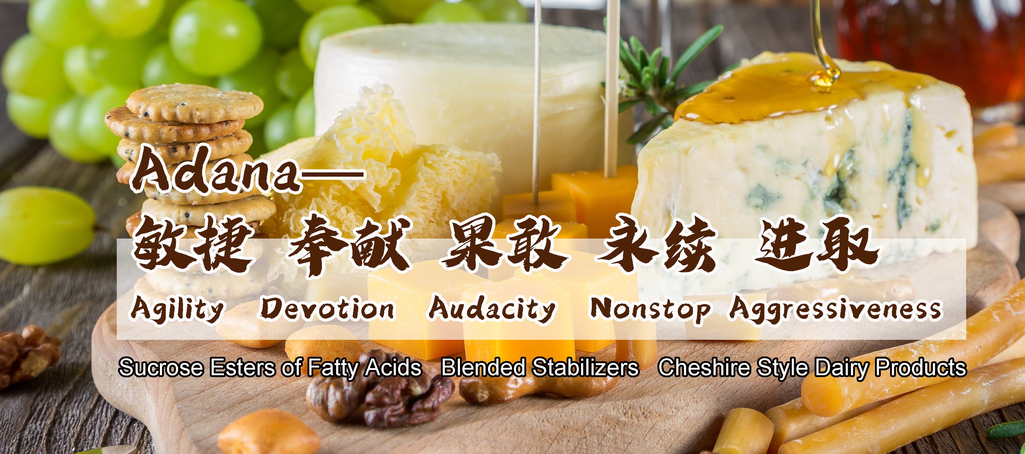 adanafoodtech.com